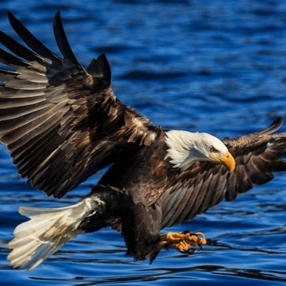 Meet your Posher, Clayton